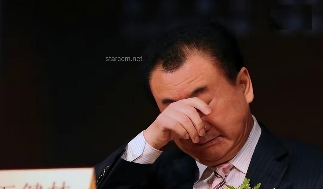 王健林股权冻结事件，透视商业地产风云变幻